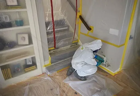 Mold remediation containment setup